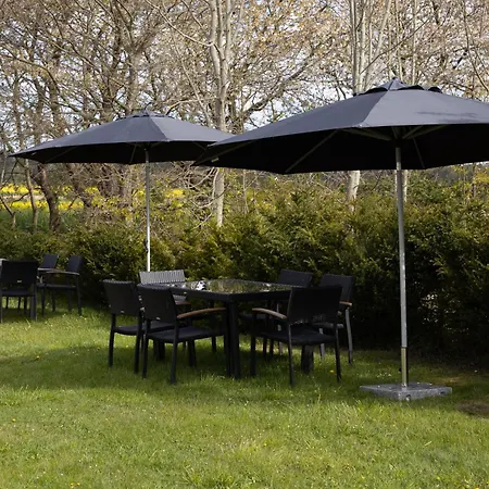 Hiddensee Apartment *